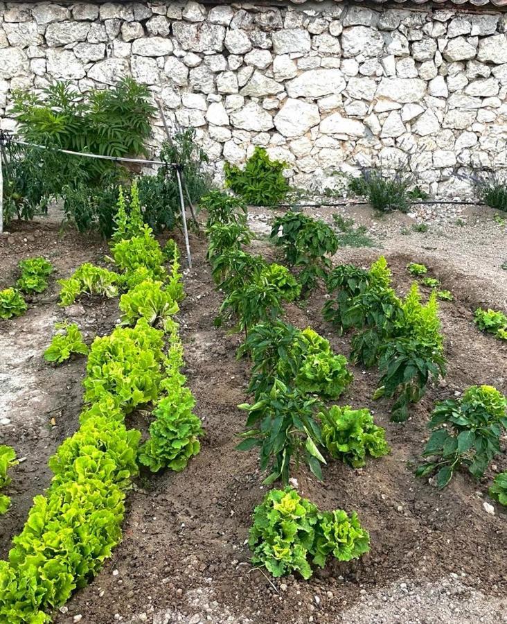 Alojamiento Gaia Aldeasona Extérieur photo